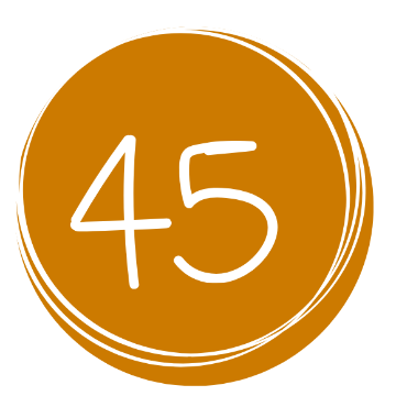 Imagen para la insignia Yogui 45 Bronce.