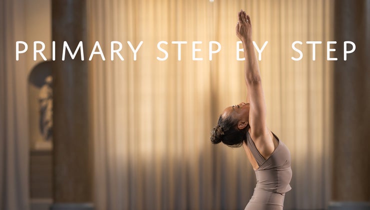 Primary Step by Step