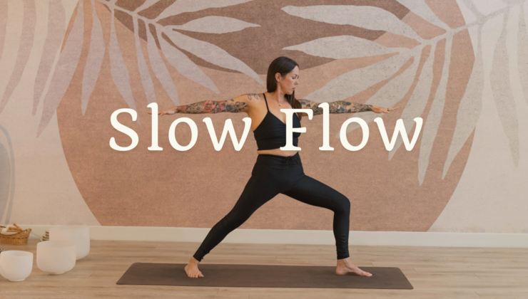 Slow Flow