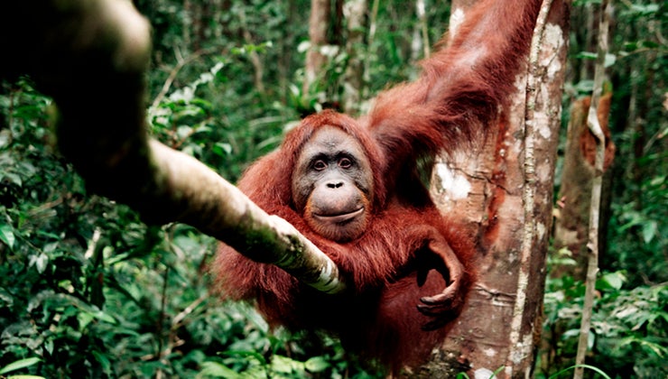 Interviews & Podcasts