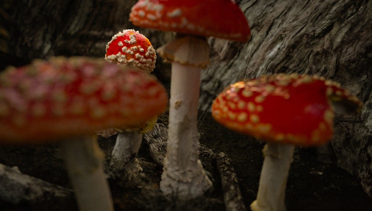 Voices from the Underground