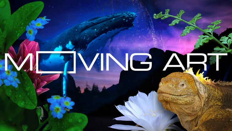 Moving Art: The Series