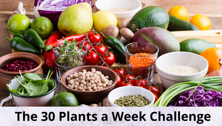30 Plants a Week