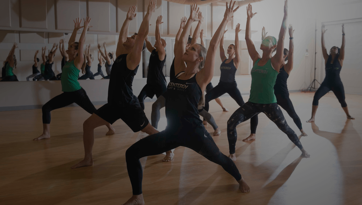 Group Centergy | MOSSA MOVE