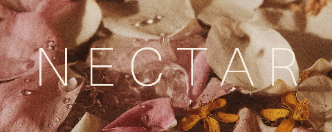 Nectar