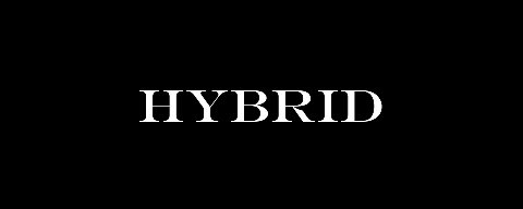 Hybrid Advisors Inc.