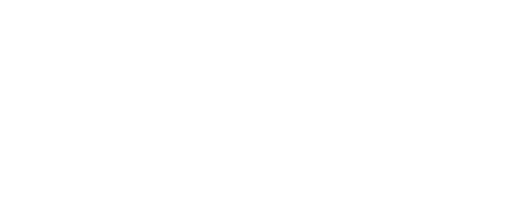 Levels Step Fitness
