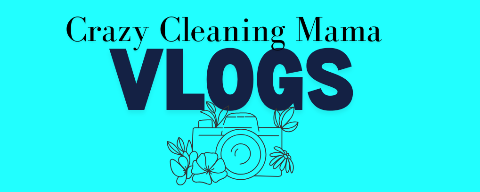 Crazy Cleaning Mama Vlogs