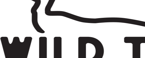 Wild Turkey Archives