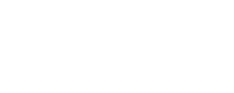 Van Morrison Concert Vault