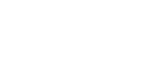 The Ring Boxing Club Online Training