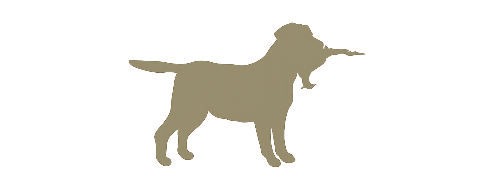 Mordor Gundogs