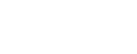 Universal Knowledge Network
