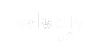 Velocity Live
