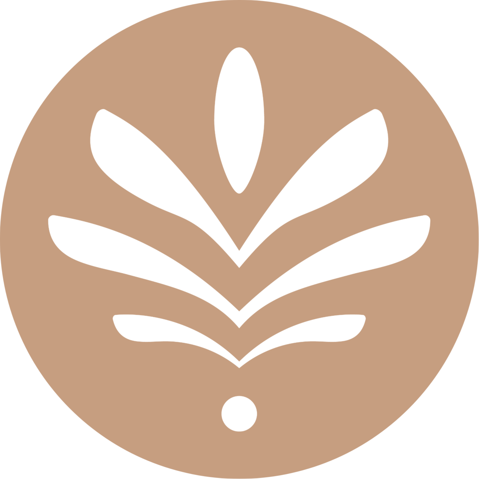 Bloom&Flow Studio