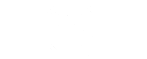 B1 Horsemanship
