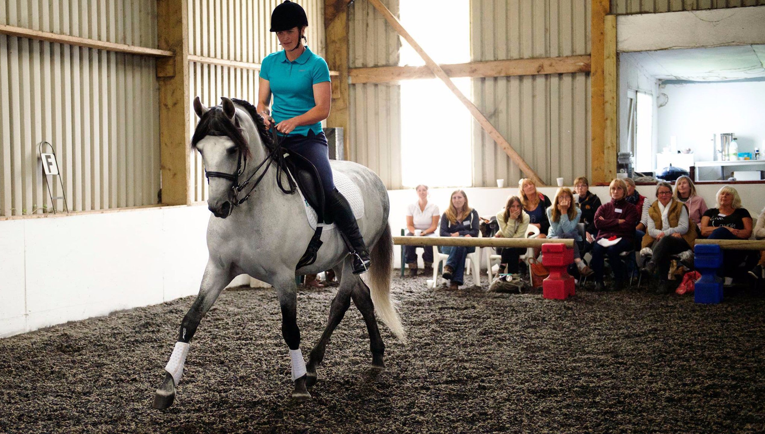 Online Classical Riding Academy monthly subscription