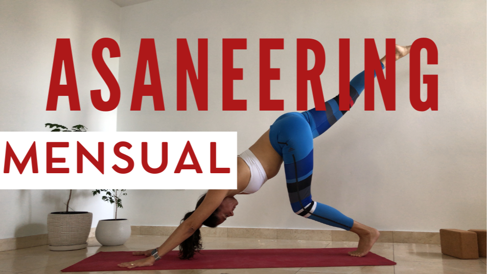 Expansión - Asaneering Mensual