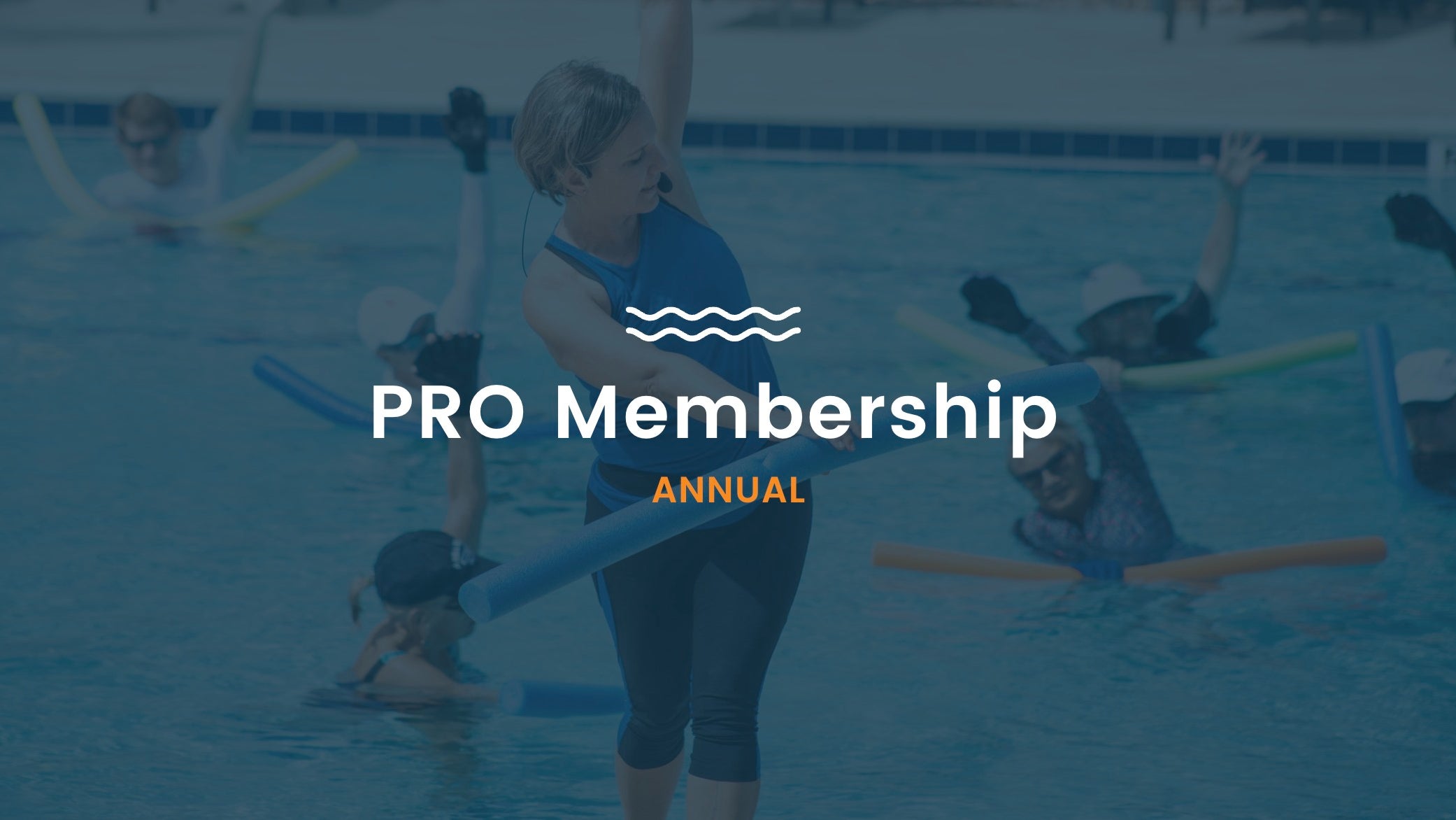 Professional Annual Membership