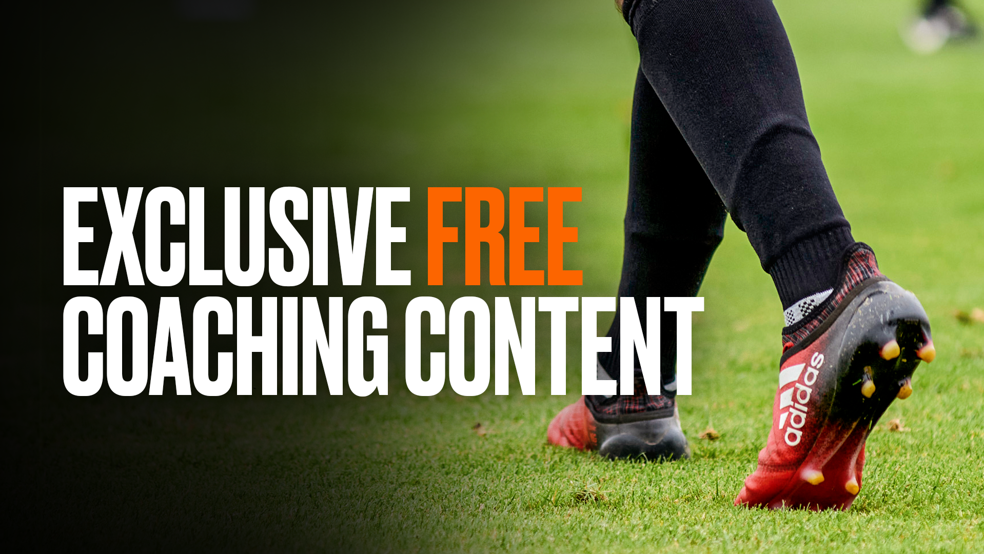 Exclusive free coaching content