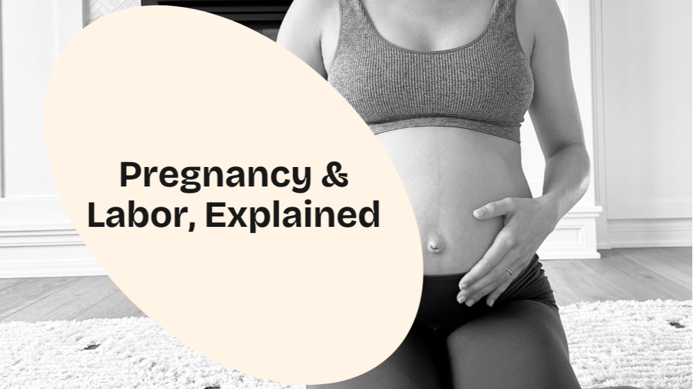 Pregnancy & Labor, Explained