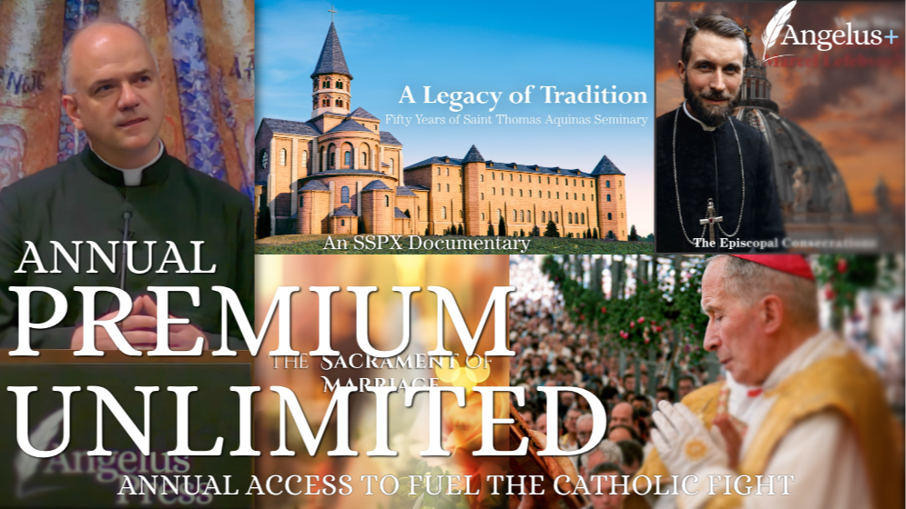Angelus+: Annual Access to Fuel the Catholic Fight