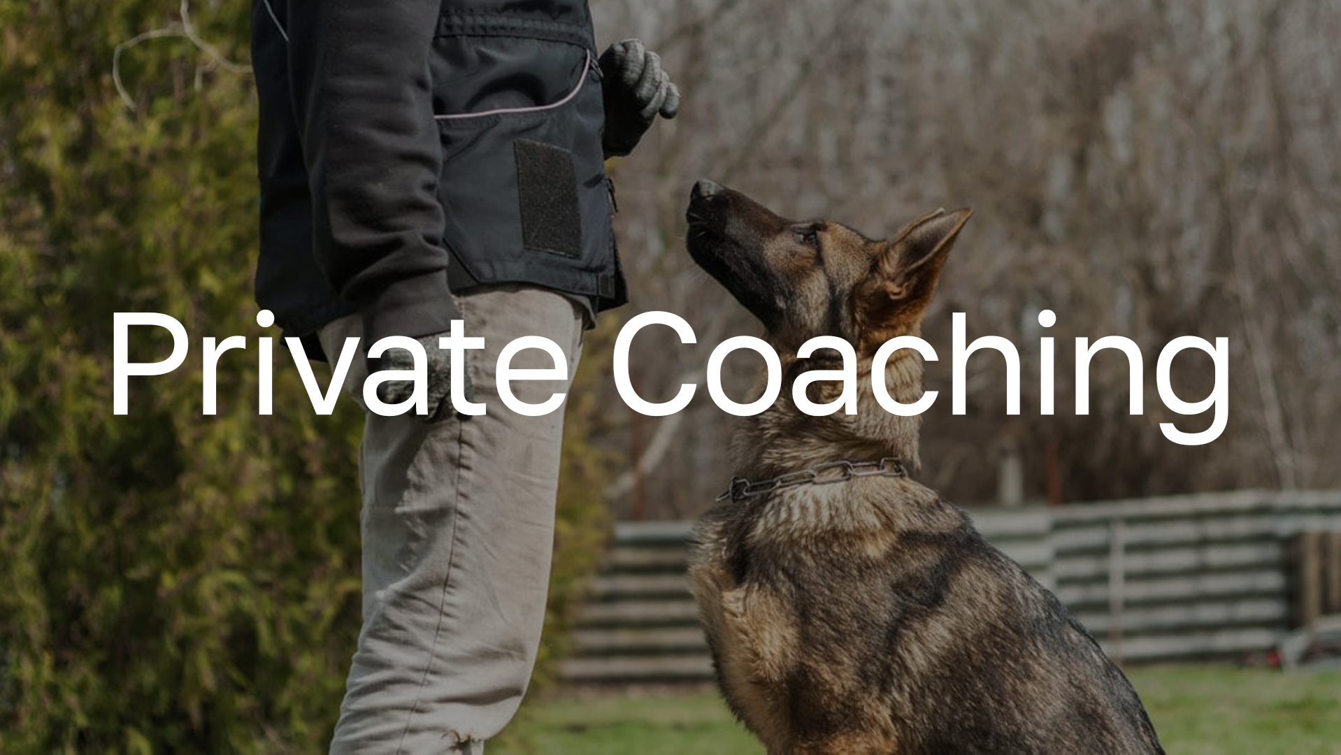 Private Coaching