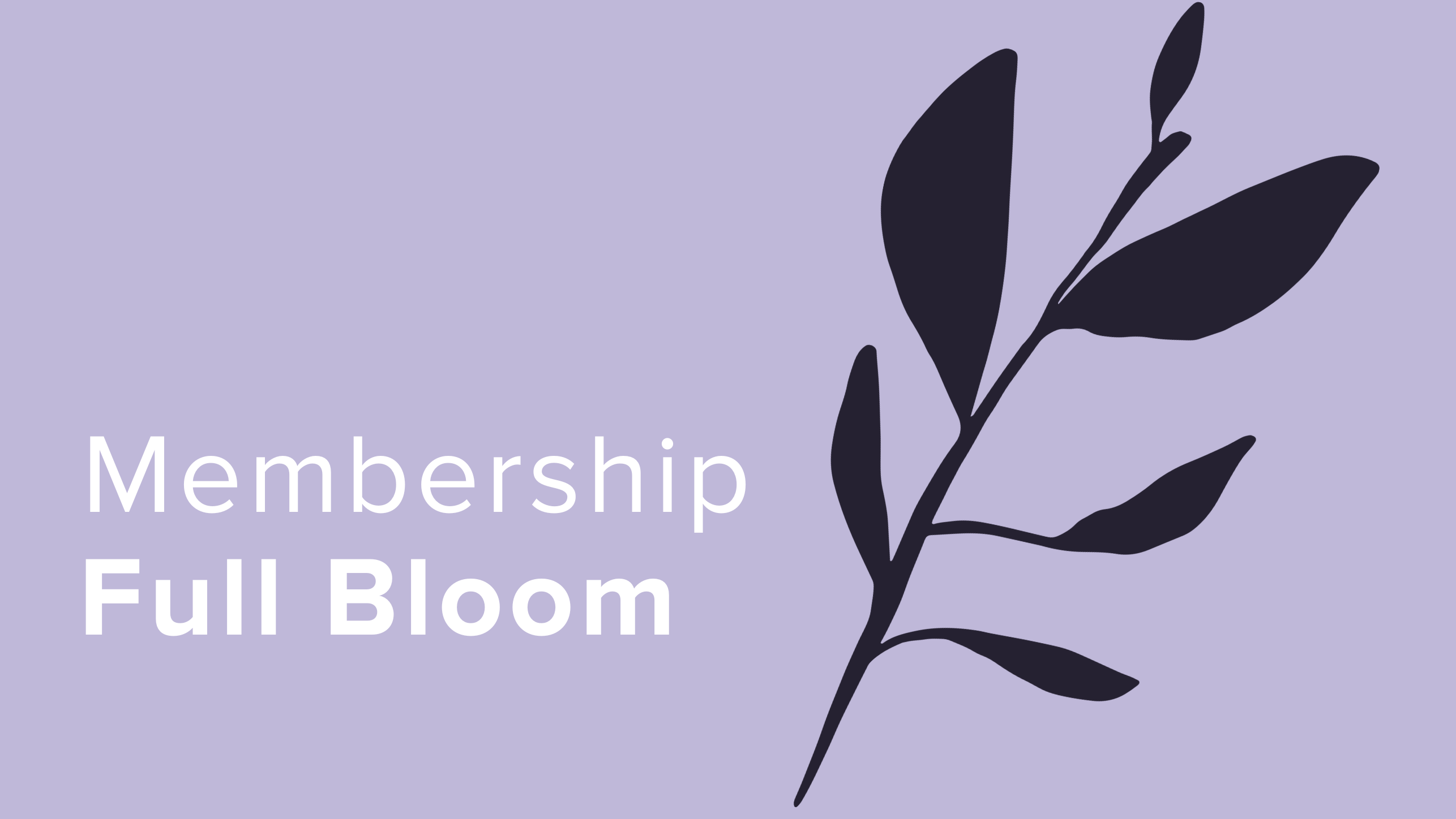 MEMBERSHIP - Full Bloom 