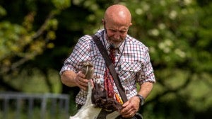 Spaniel Training Videos
