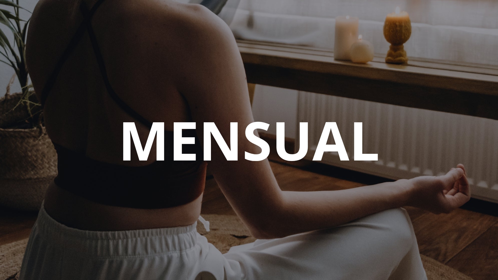 Plan Mensual Plenamente
