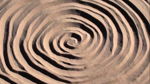 The Embodied Path
