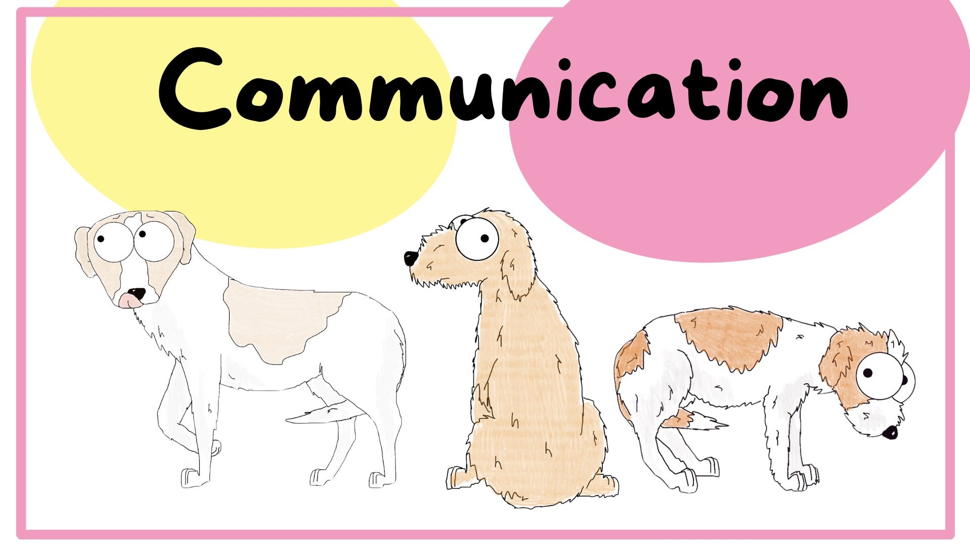 Body Language Bundle