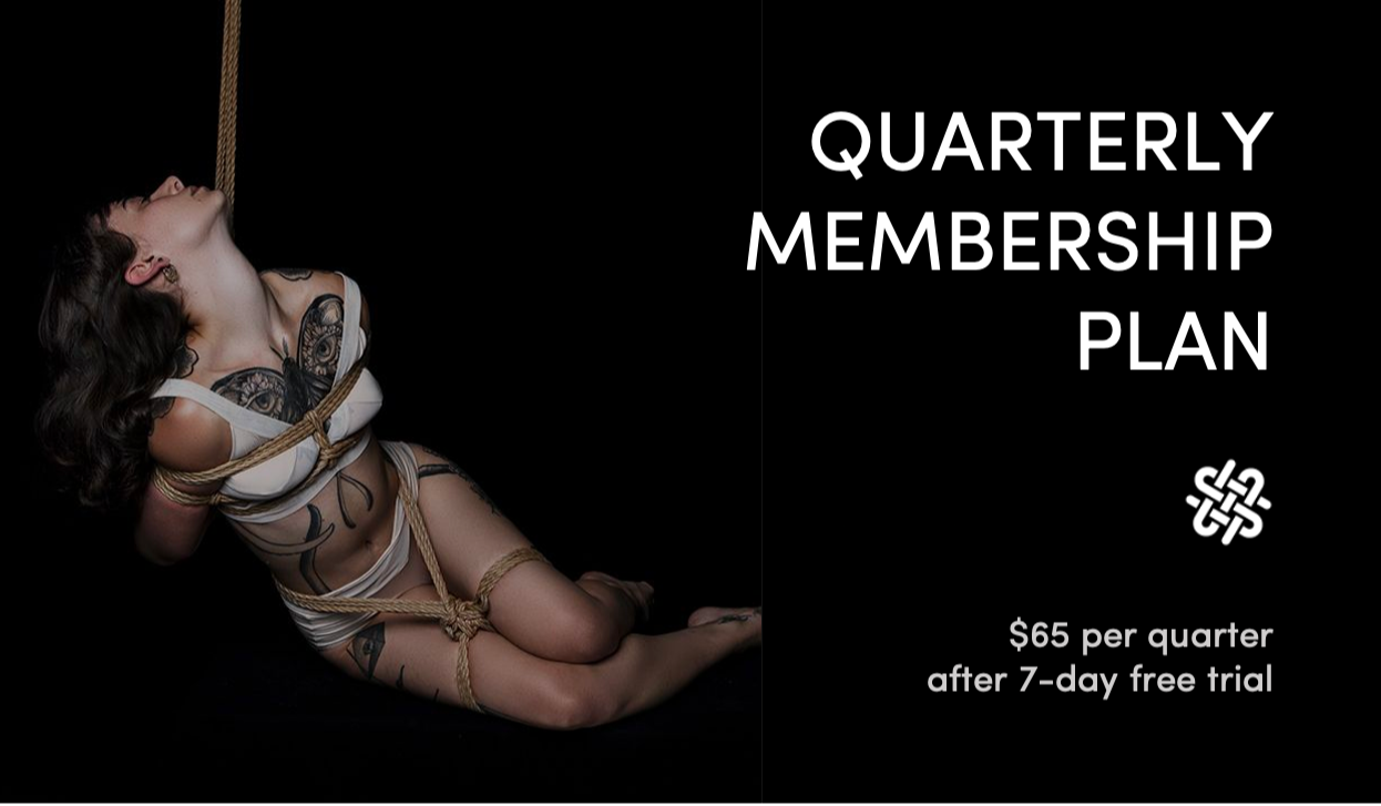 Shibari Study App Quarterly