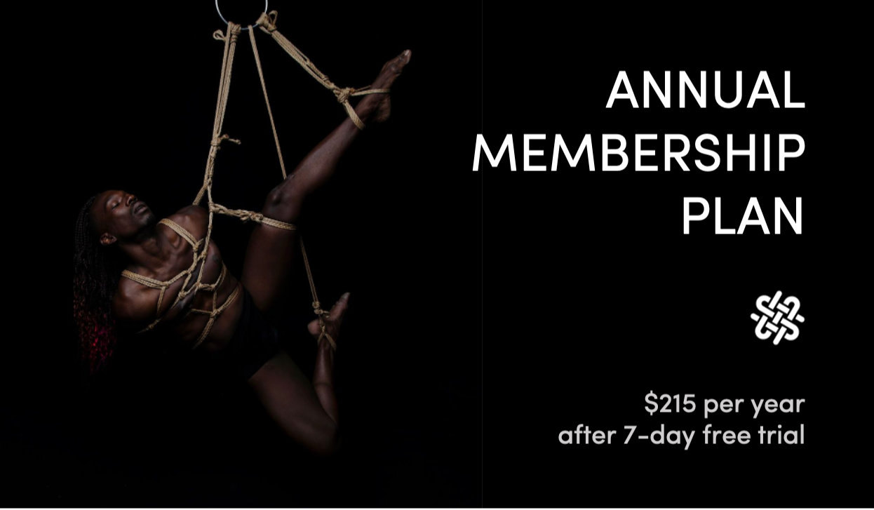 Shibari Study App Yearly