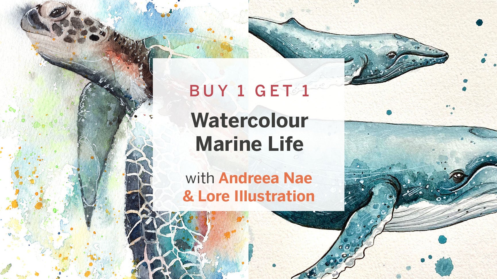 Watercolour Wildlife