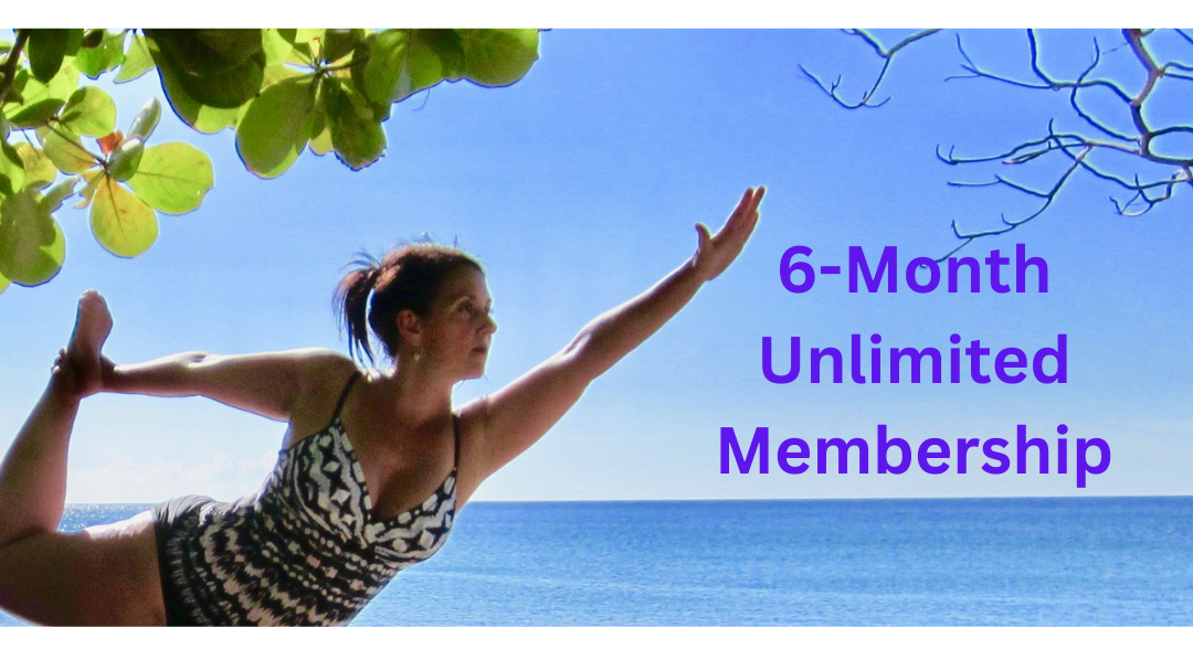 6-Month Subscription