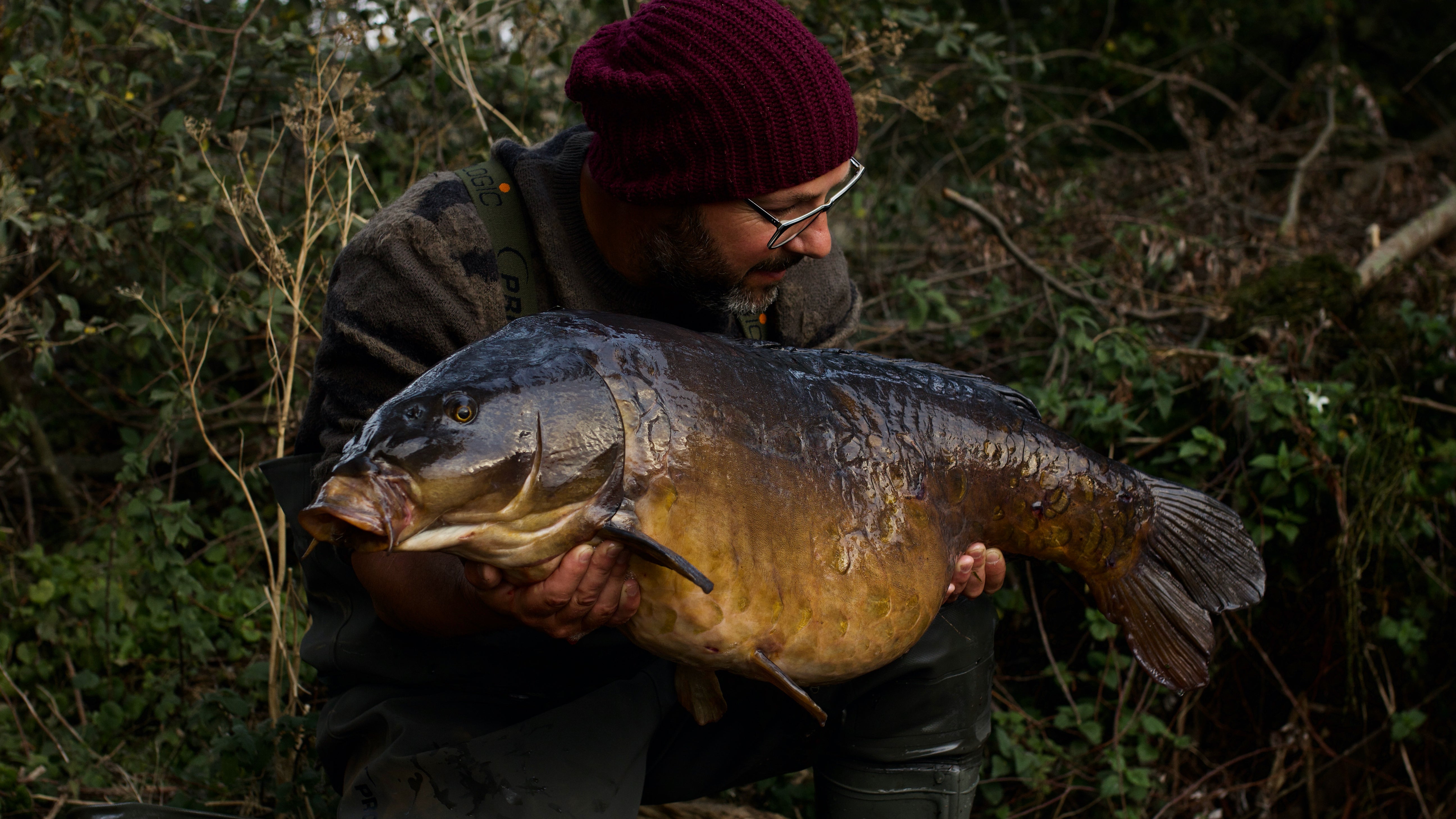 Penning's Carp Academy: Annual Membership