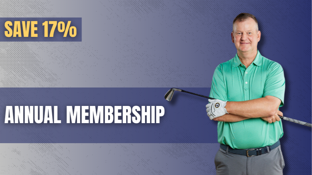 Annual Plan (Save 17%)