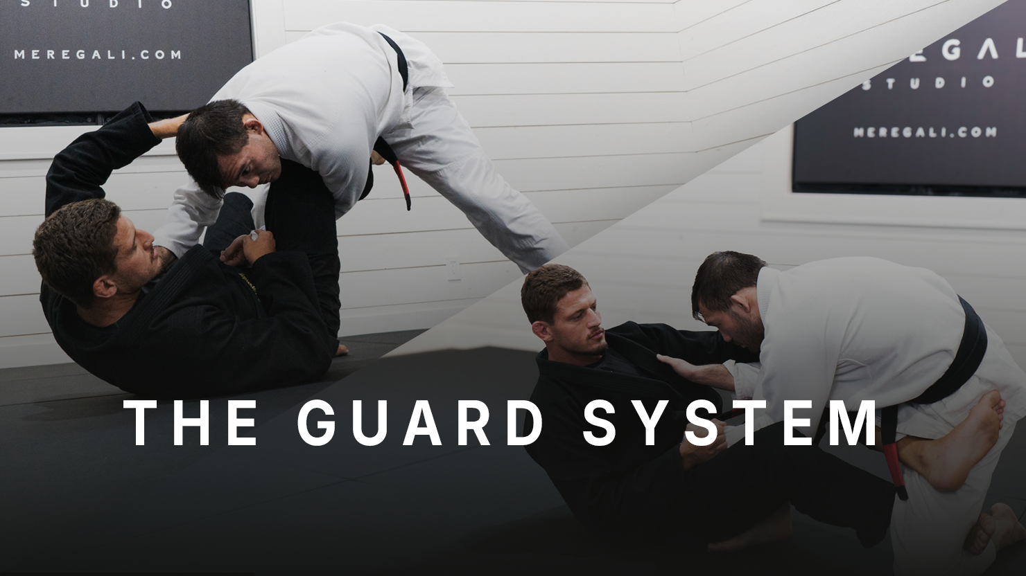 The Guard System (Lasso Guard + Deep de La Riva X)