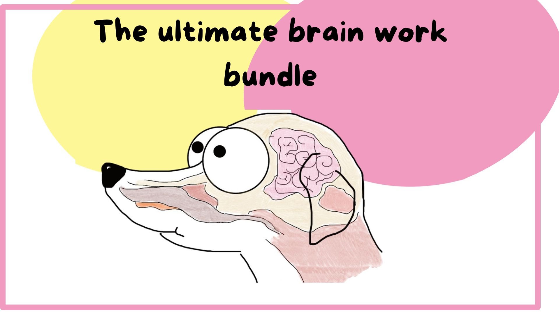 The ultimate brain work bundle
