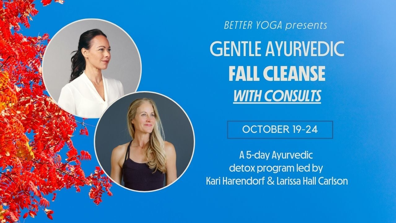 Fall Cleanse with Consults 