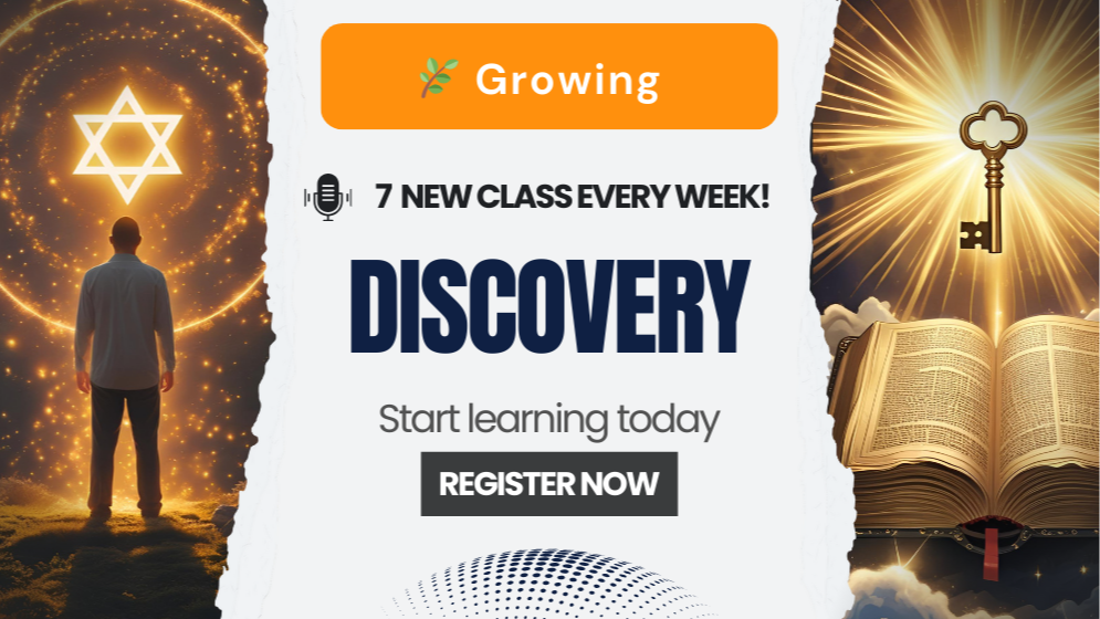 Discovery Plan