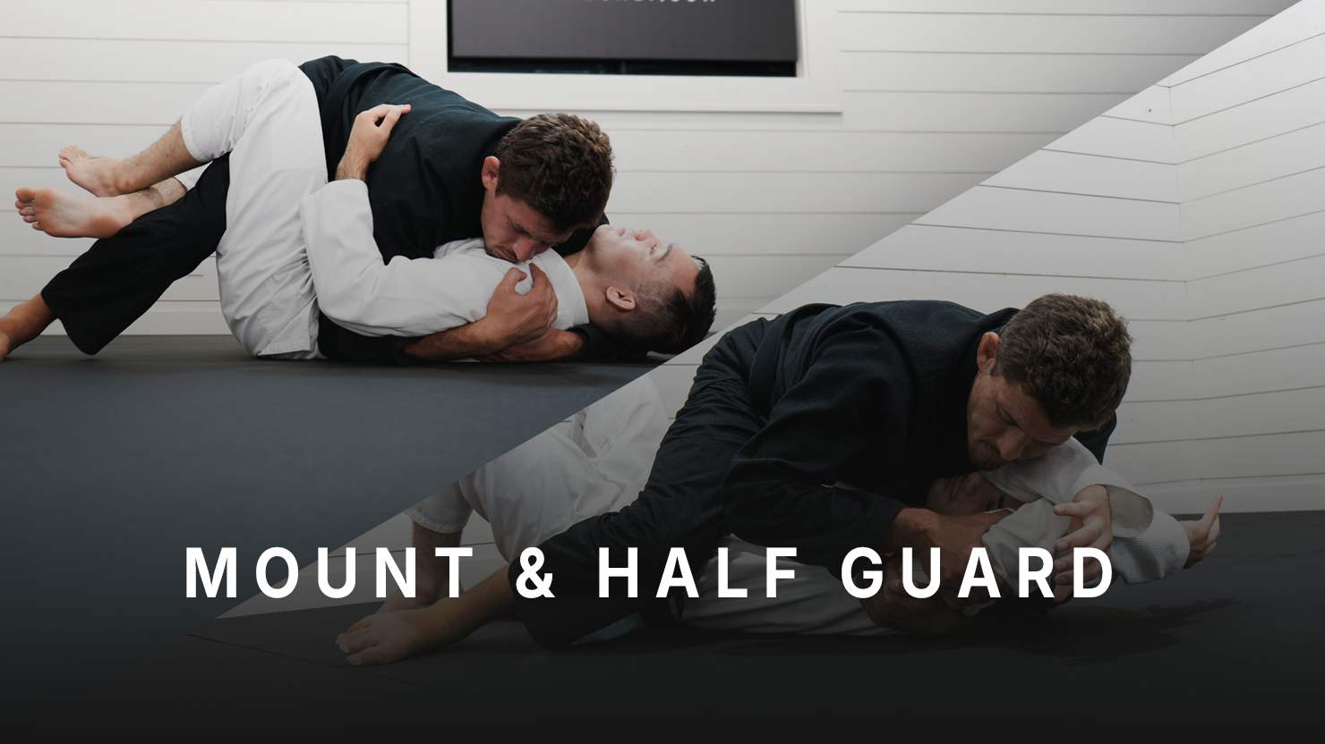Mount & Half Guard Mastery