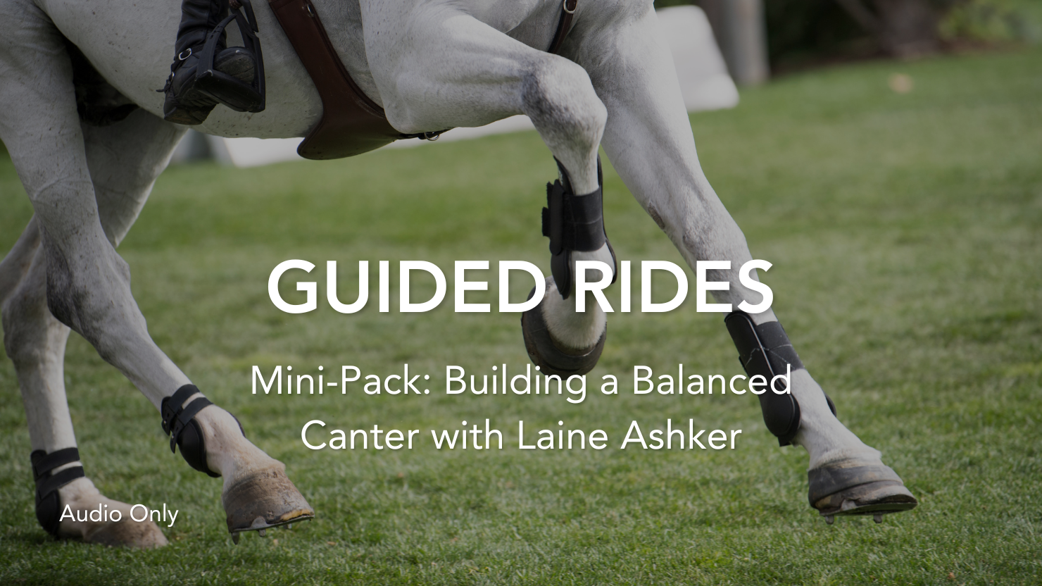 Guided Ride Mini-Pack: Building a Balanced Canter with Laine Ashker