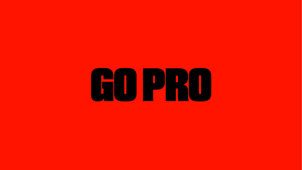 Go Pro