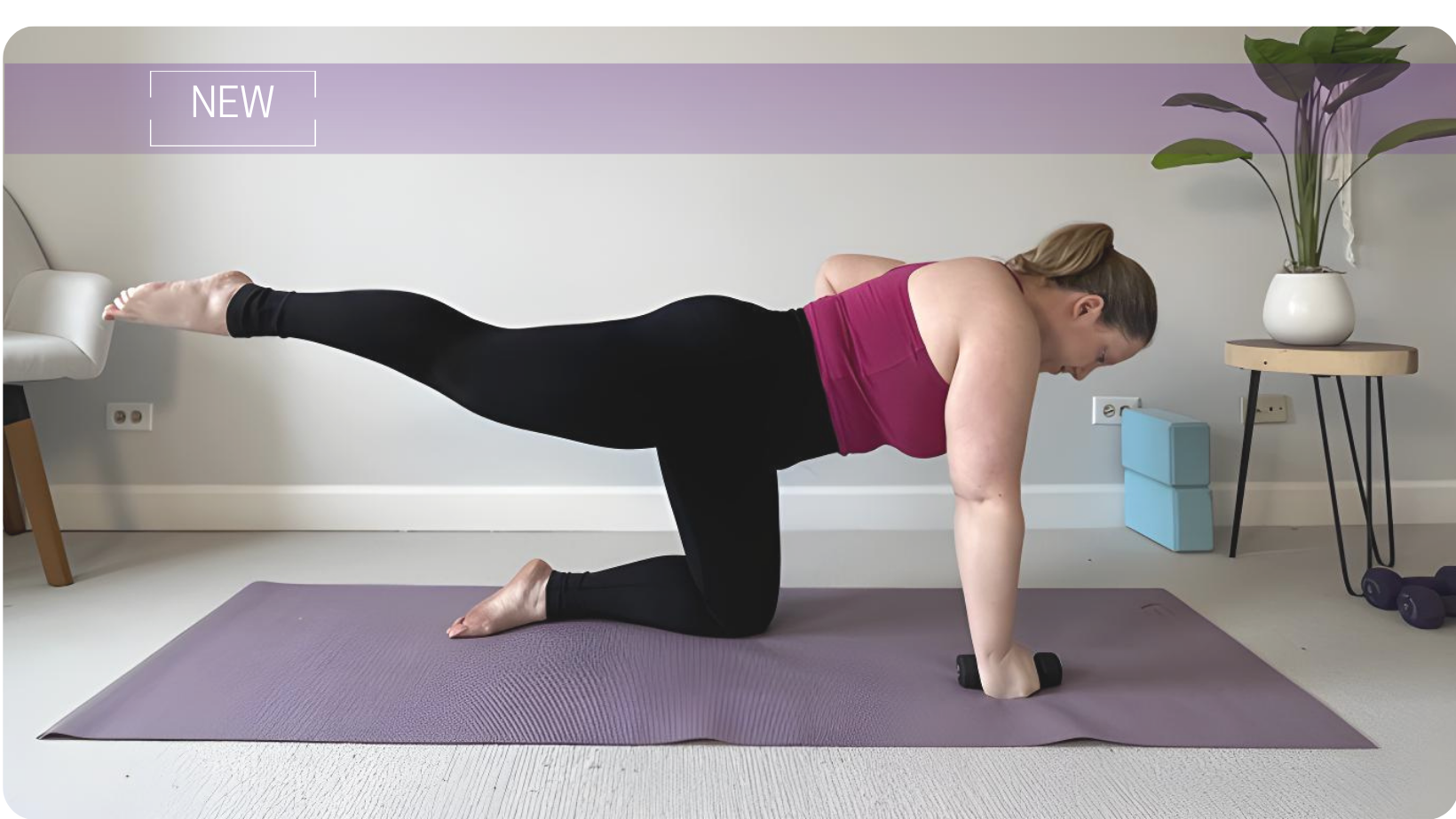 FREE Strong Core Workout Bundle
