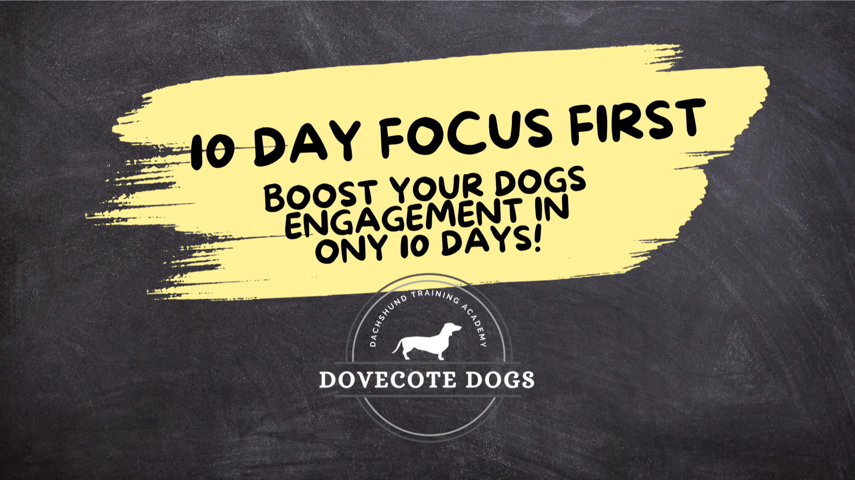 10 DAY - FOCUS FIRST