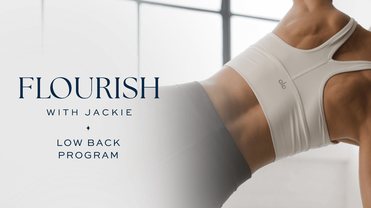 The Low Back Program