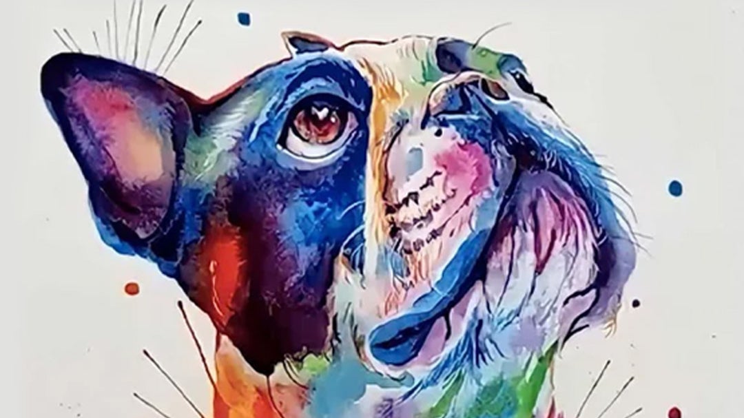 Paint Your Pet in Wild Watercolours