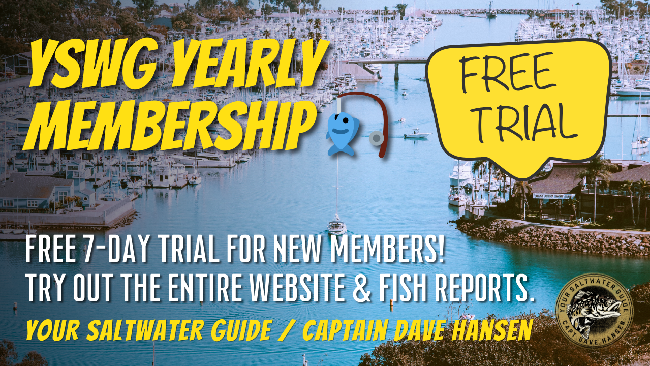 YSWG Yearly Membership 🎣